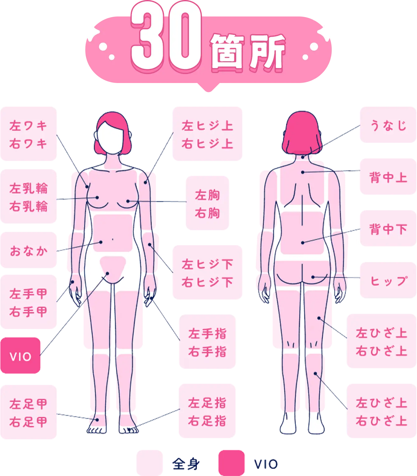 施術部位30箇所
