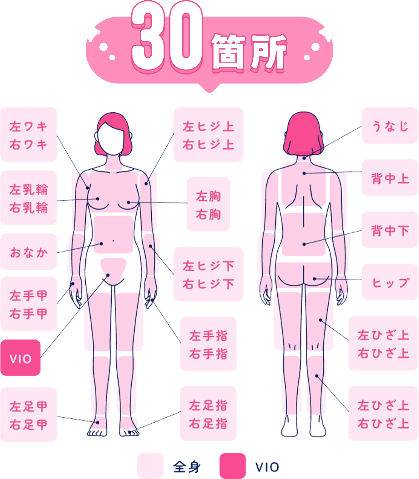 施術部位30箇所